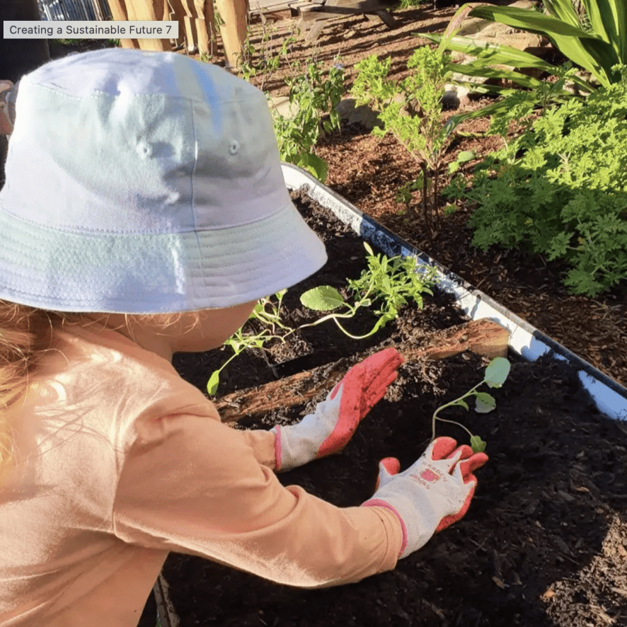 gardening sustainable play planting